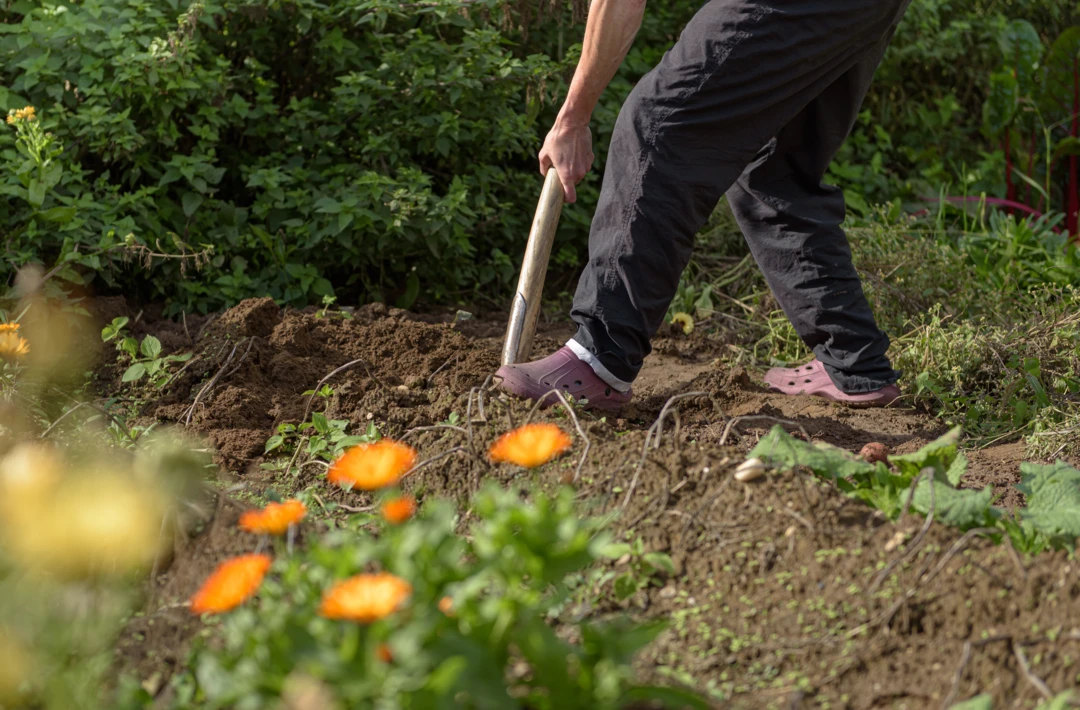 andreasgoellner-gardening-4545661