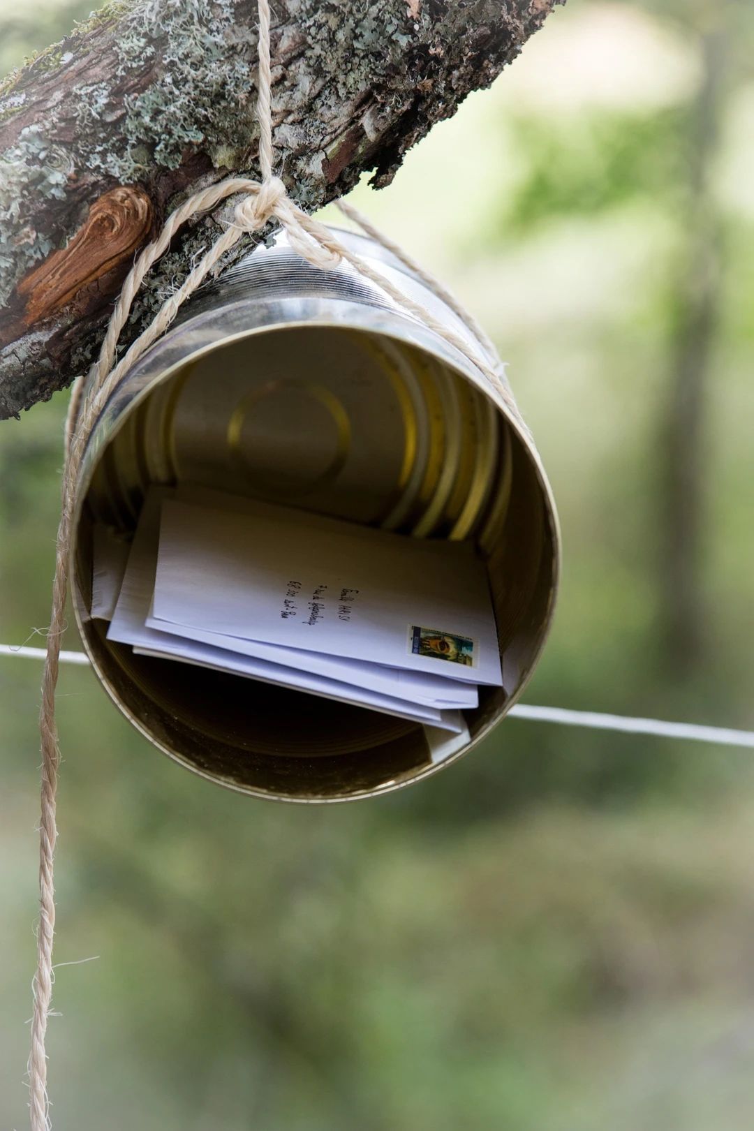 letterbox-wenphotos-scouting