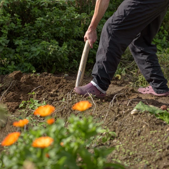 andreasgoellner-gardening-4545661